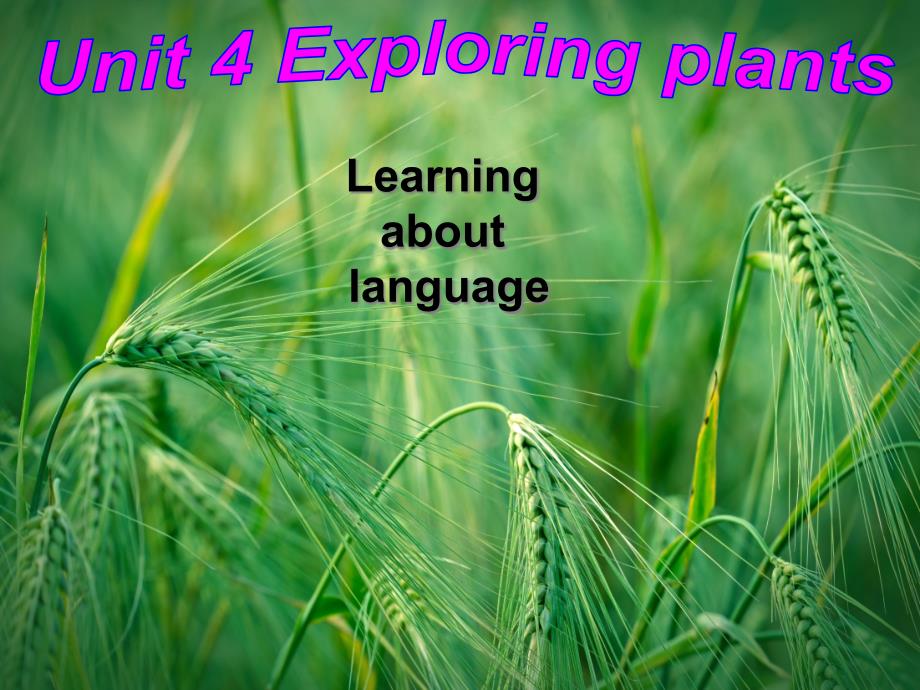 Unit-4-Exploring-plants-Learning-about-language-新人教版选修9ppt课件_第1页