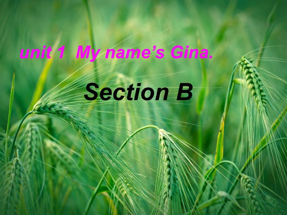 Unit-1-My-name-is-Gina-Section-B-人教新目标版ppt课件_第1页