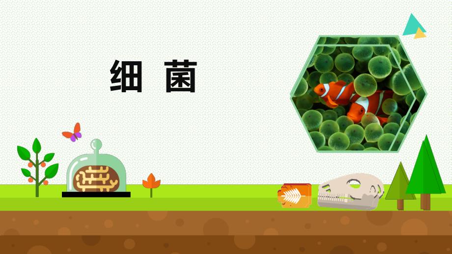 小学科学《细菌》优质ppt课件_第1页