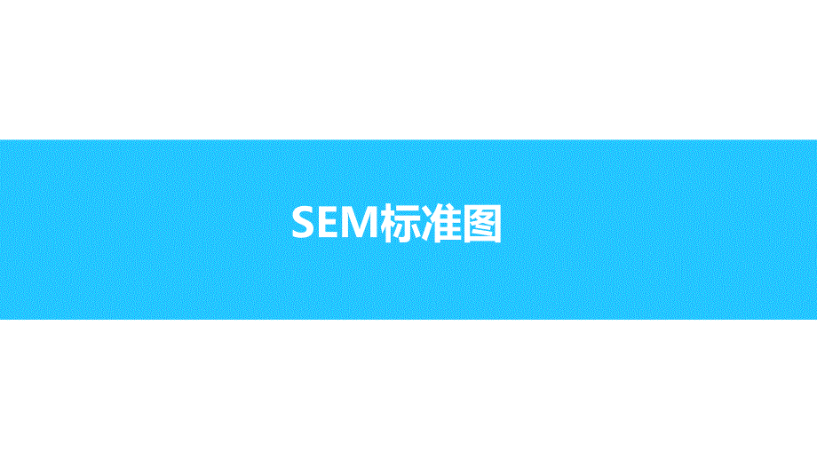 SEM-标准图片_第1页