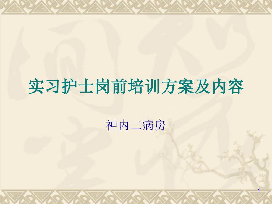 实习护士岗前培训方案及内容课件_第1页