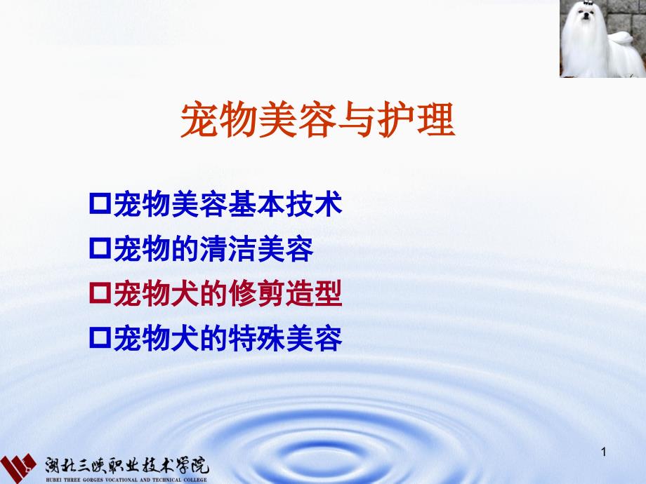 宠物美容与护理1北京犬课件_第1页