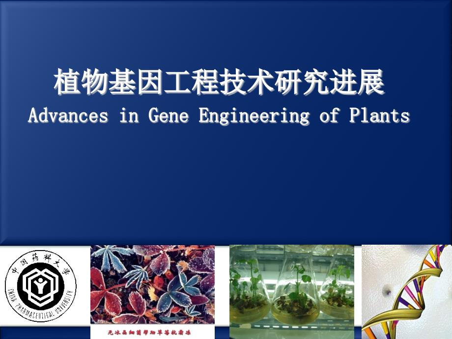 药用植物基因工程研究课件_第1页