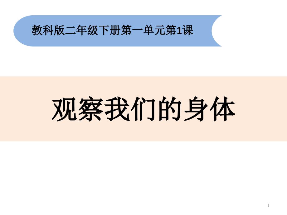 二年级下册科学ppt课件21观察我们的身体教科版_第1页