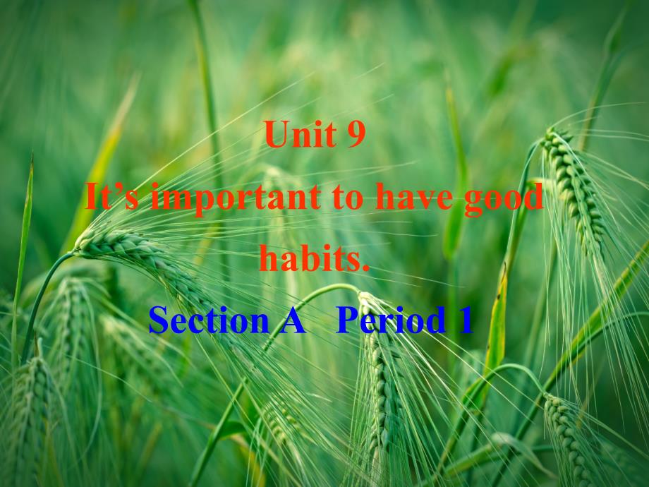 Unit-9-It’s-important-to-have-good-habits-Section-A-Period-1-鲁教版五四制ppt课件_第1页