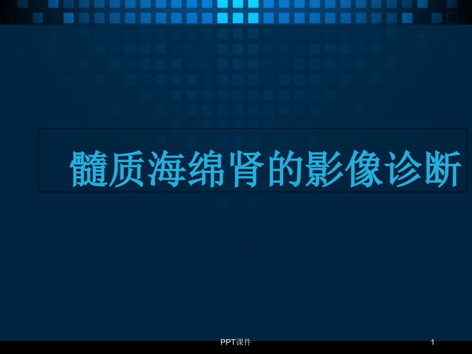 髓质海绵肾的影像诊断-课件_第1页