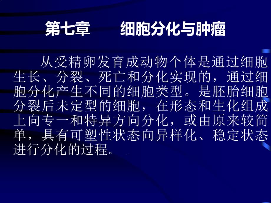 细胞分化与肿瘤课件_第1页