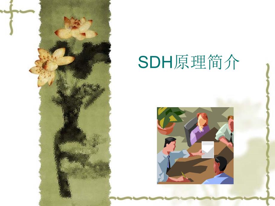 SDH培训内部资料_第1页