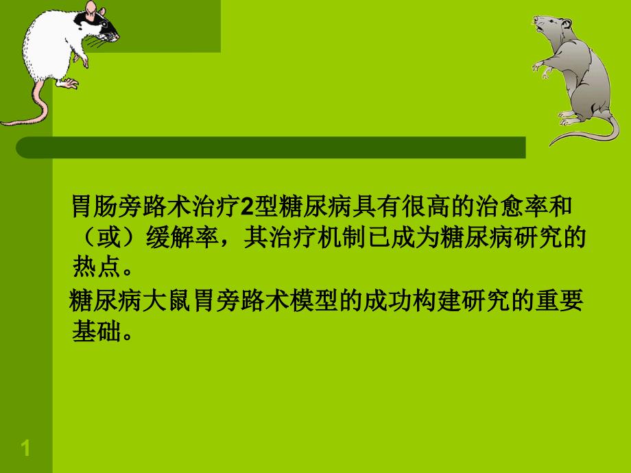 建立大鼠胃旁路术动物模型的手术体会课件_第1页