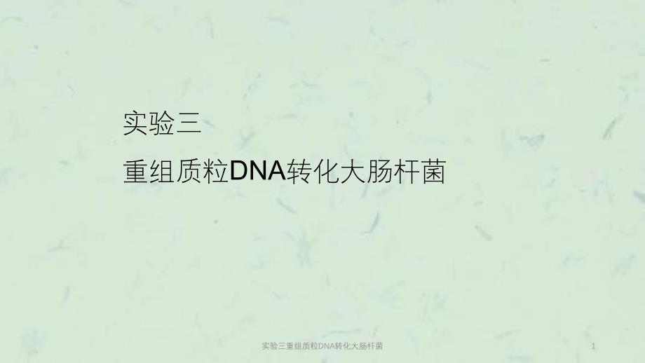 实验三重组质粒DNA转化大肠杆菌ppt课件_第1页