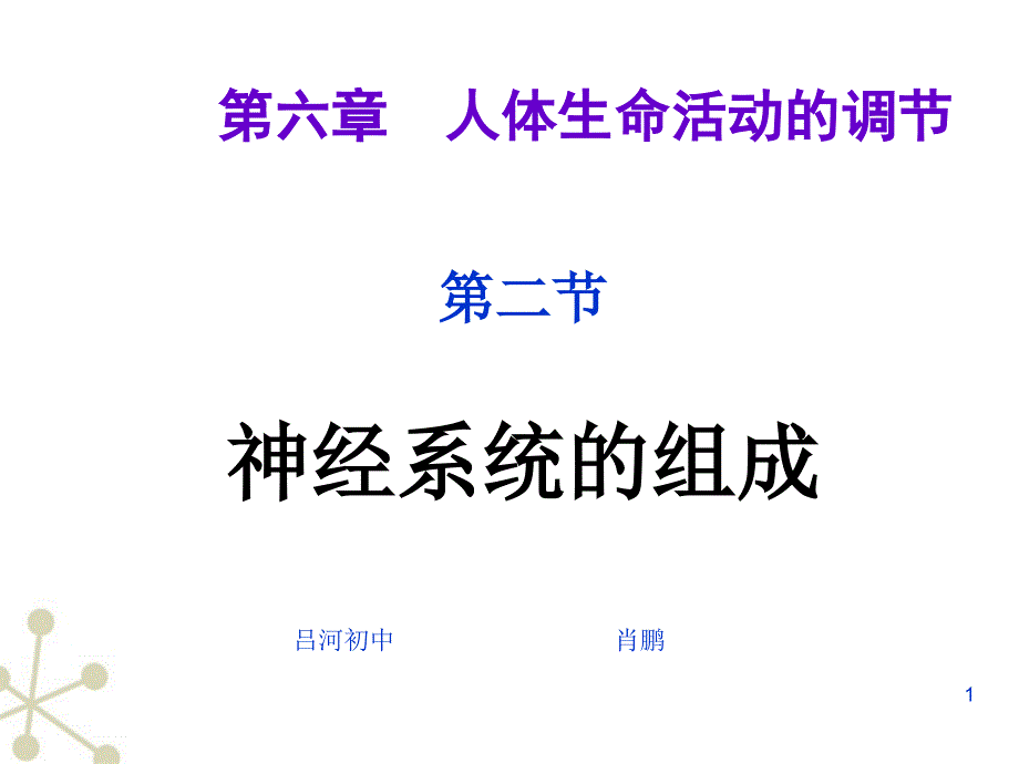 七级生物下册神经系统的组成人教新标课件_第1页