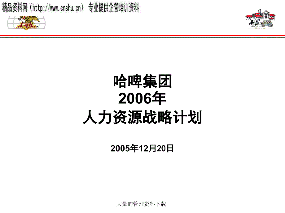 某某集团人力资源战略计划_第1页