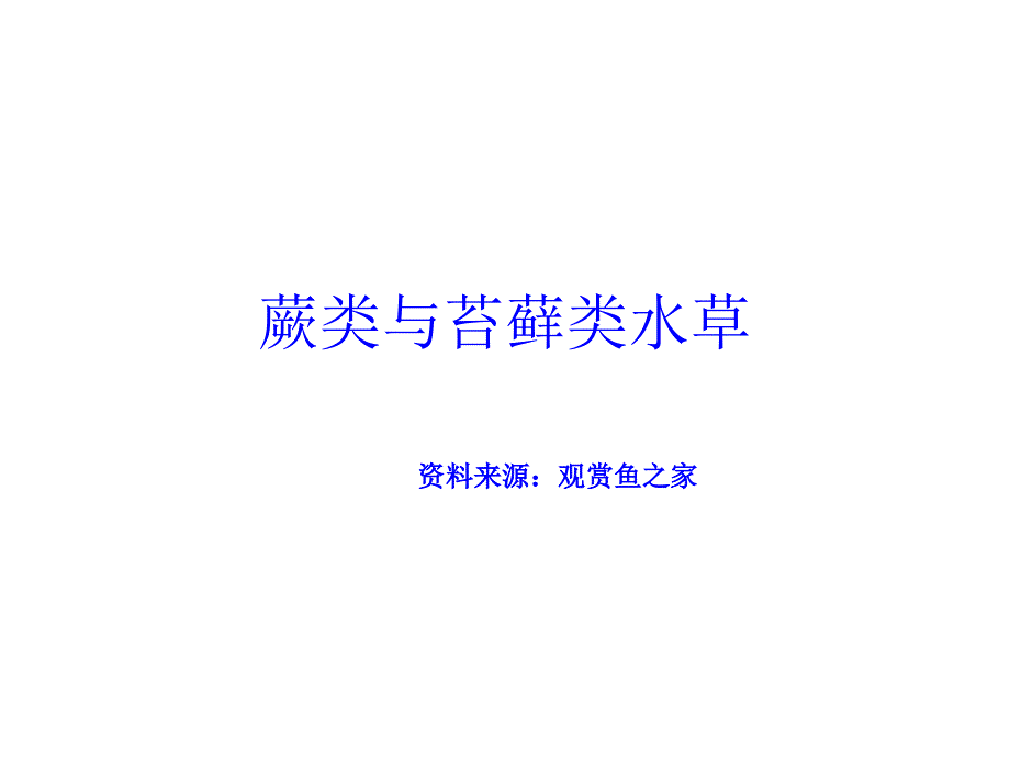 蕨类与苔藓类水草课件_第1页