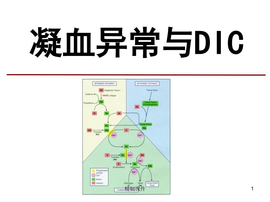 凝血异常与DICppt课件_第1页