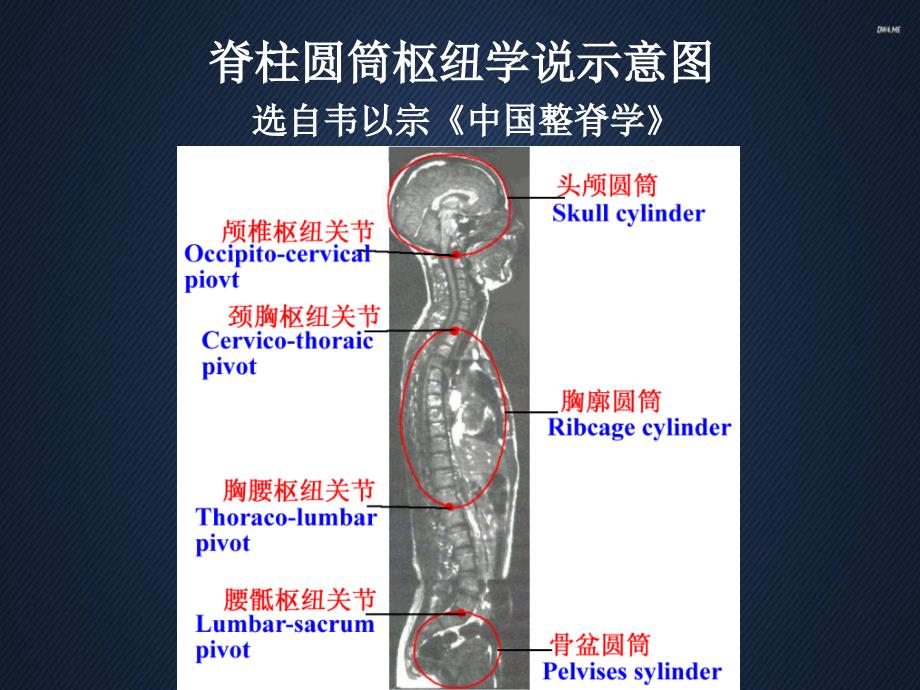 颈腰椎X线片测量探讨-课件_第1页