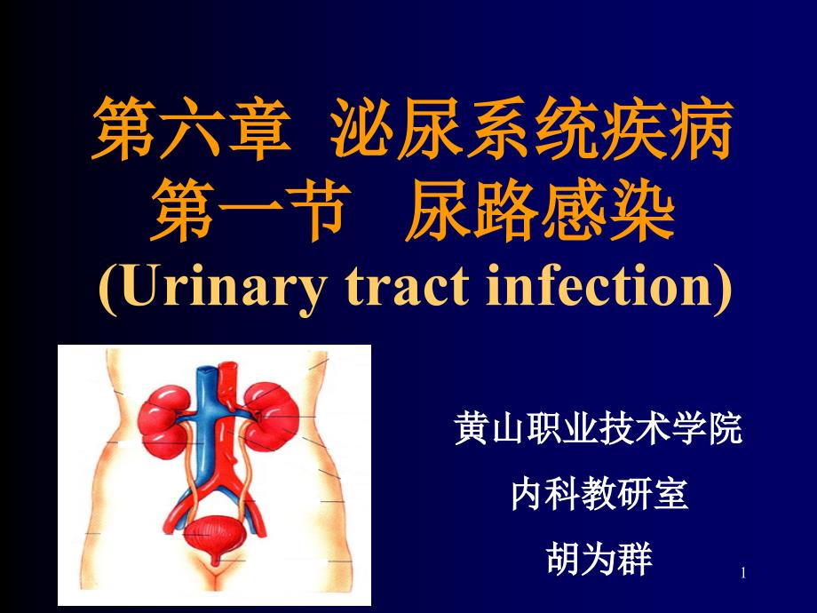 临床医学概要尿路感染概要课件_第1页