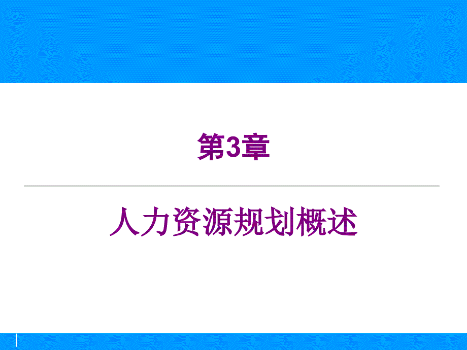 人力资源规划概述实务指南_第1页