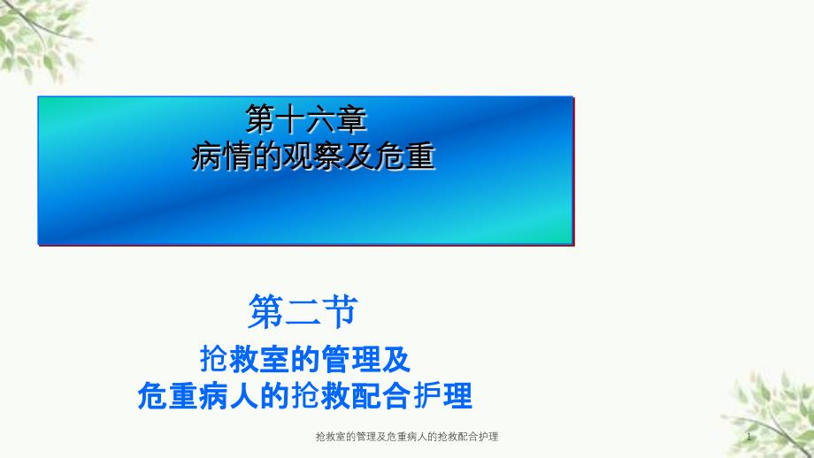 抢救室的管理及危重病人的抢救配合护理ppt课件_第1页