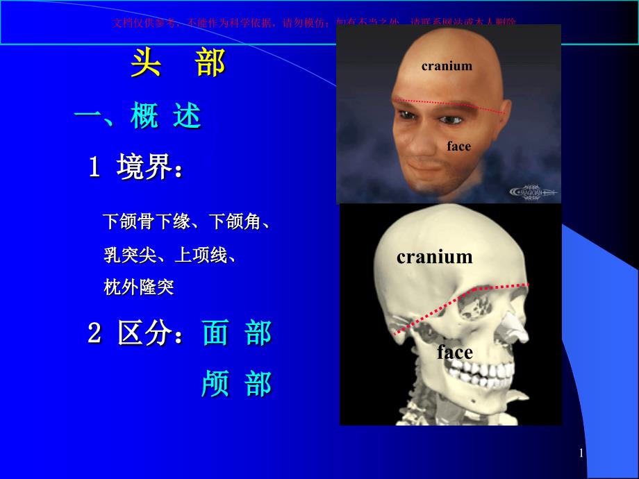 局部解剖学医学知识宣讲培训ppt课件_第1页