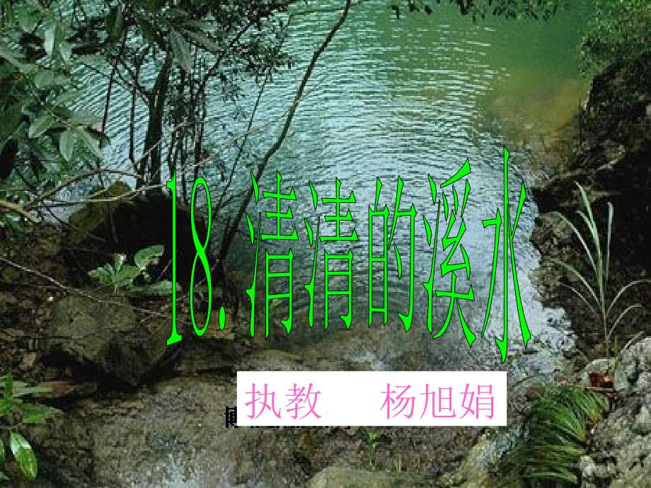 18《清清溪水》杨旭娟课件_第1页