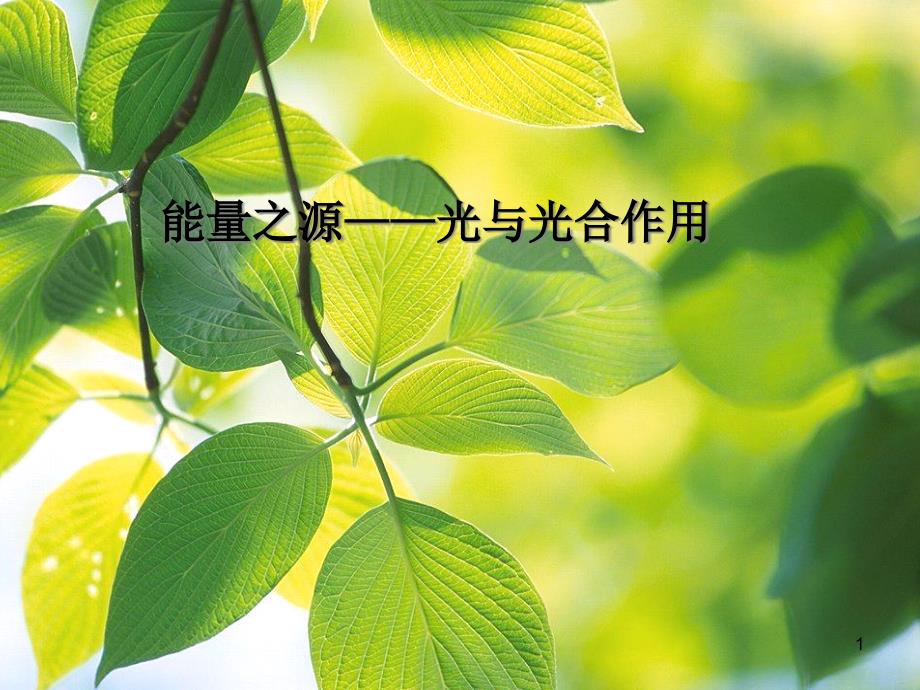 人教版生物必修一《能量之源——光与光合作用》课件_第1页