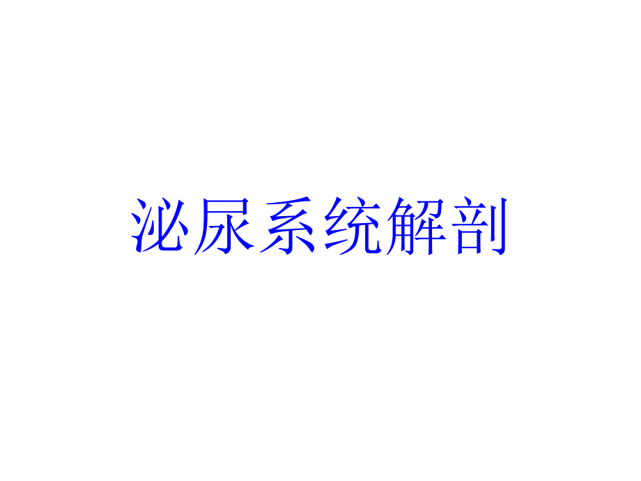 泌尿系统解剖课件_第1页