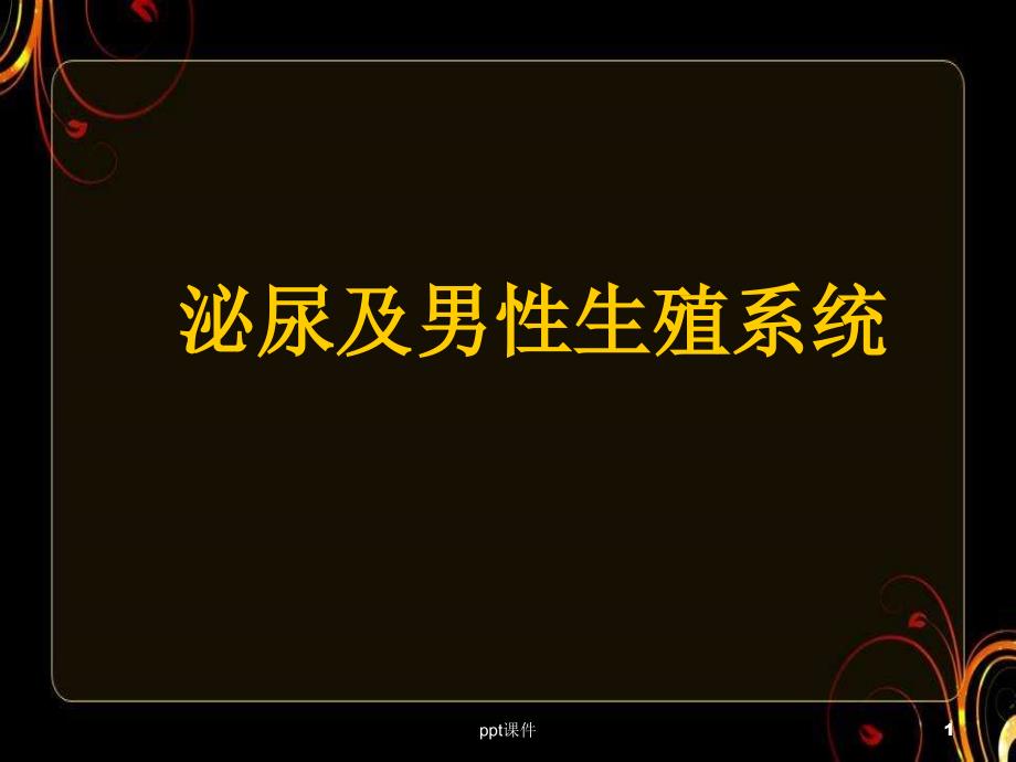 泌尿系统疾病影像诊断与技术--课件_第1页