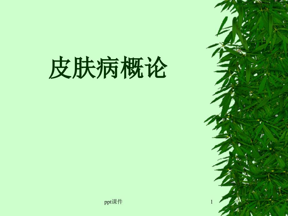 皮肤病总论--课件_第1页