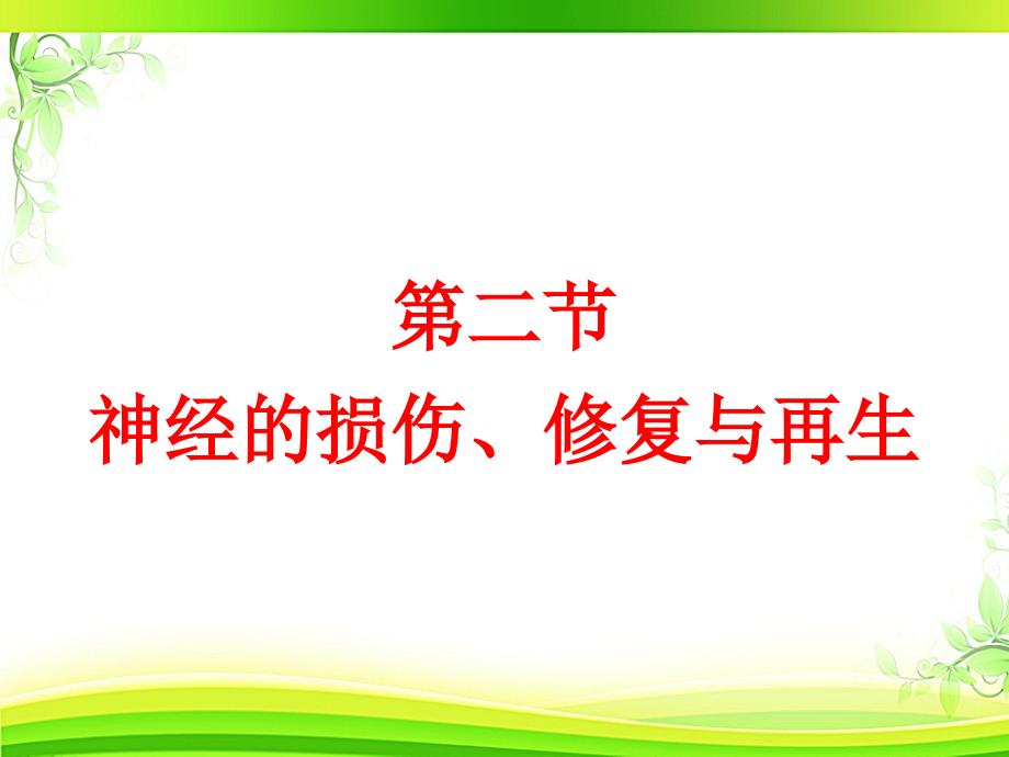 神经损伤和神经营养物质--课件_第1页