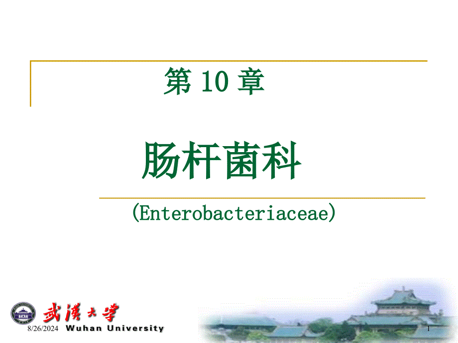 第10章-肠杆菌科-课件_第1页