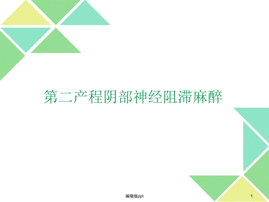 第二产程阴部神经医学课件_第1页