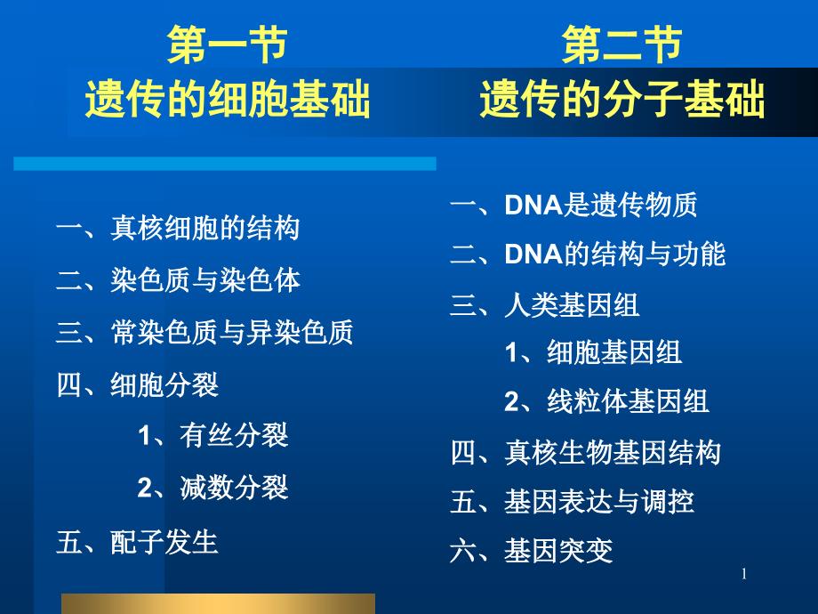 基因和染色体的结构和功能课件_第1页