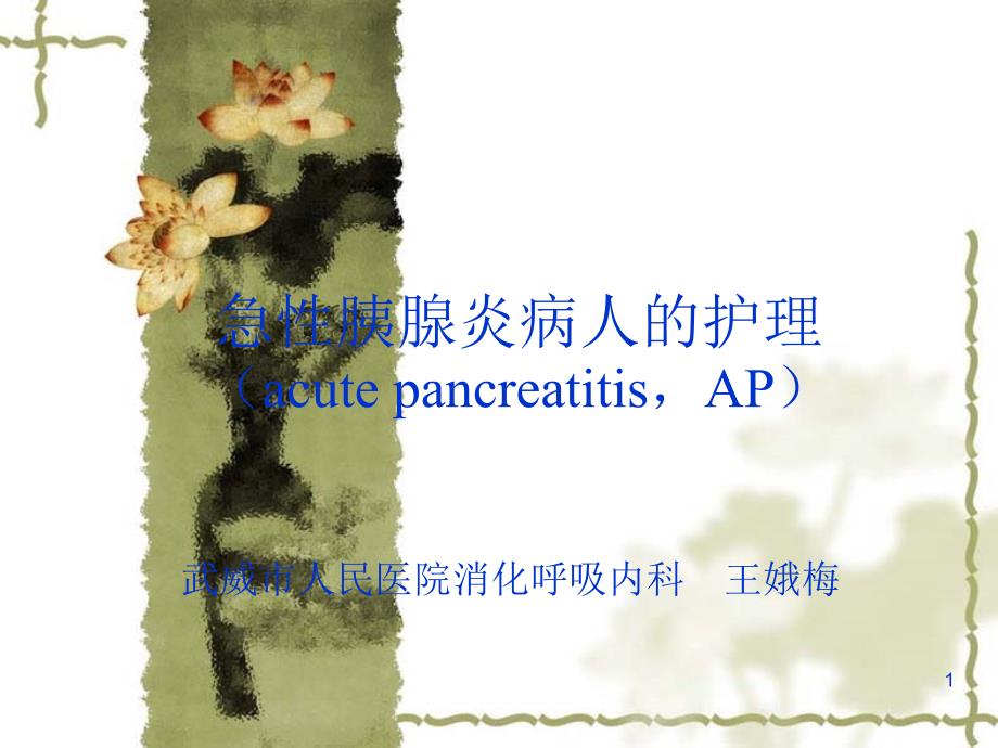 急性胰腺炎病人的护理 ppt课件_第1页