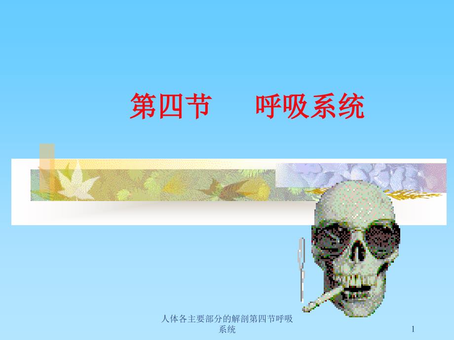 人体各主要部分的解剖第四节呼吸系统ppt课件_第1页