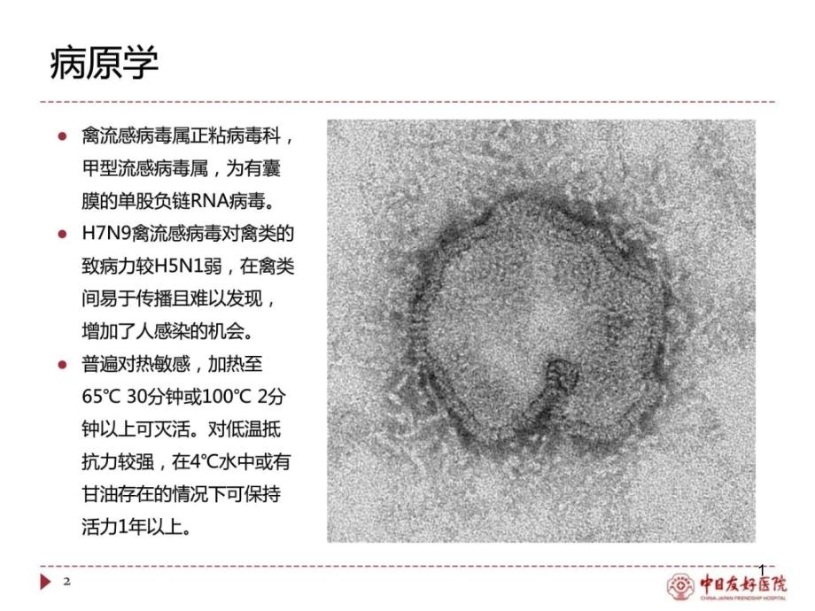 H7N9诊疗方案讲解 临床医学医药卫生专业 课件_第1页