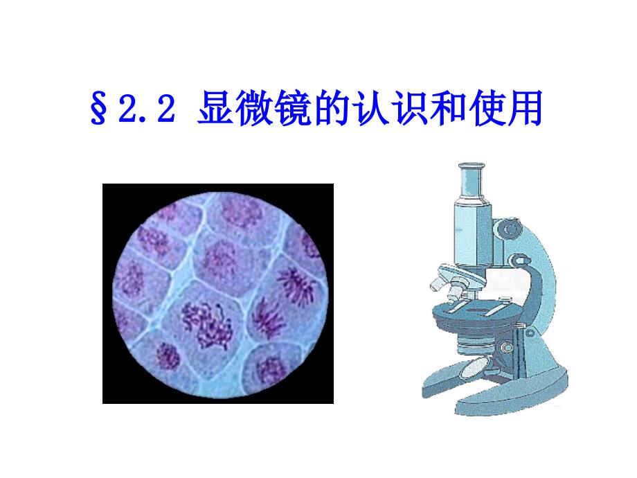 显微镜的认识与使用课件_第1页