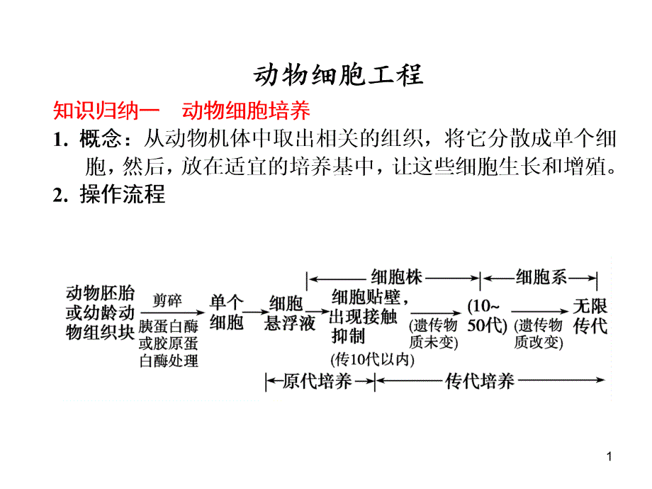 动物细胞工程材料课件_第1页