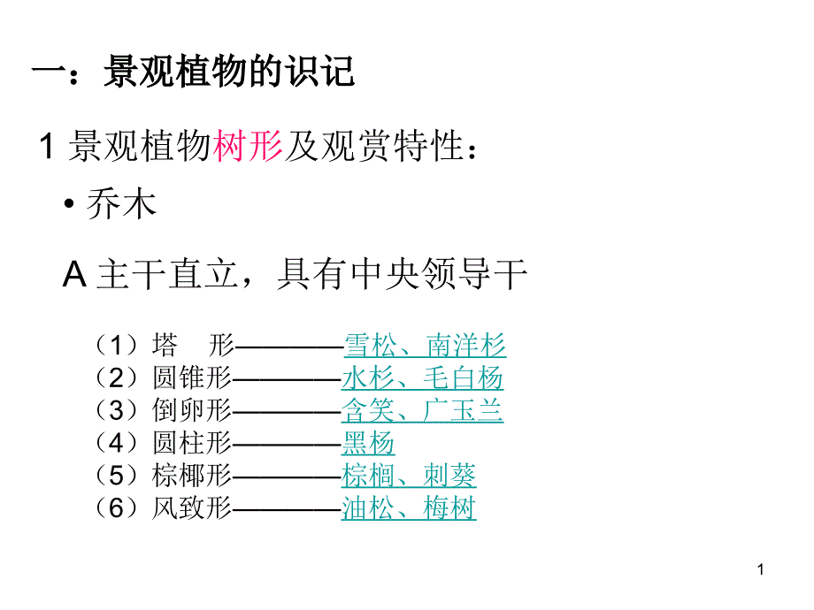 B景观植物识记方法课件_第1页