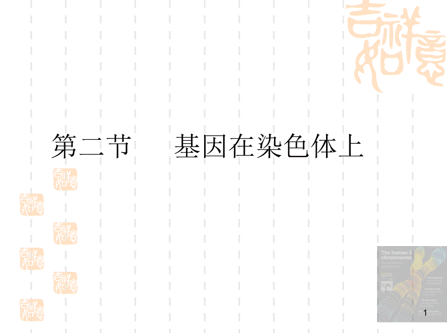 基因在染色体上课件_第1页