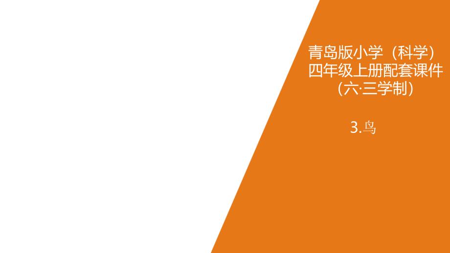 青岛版(六制)小学科学四年级上册3.《鸟》教学ppt课件_第1页