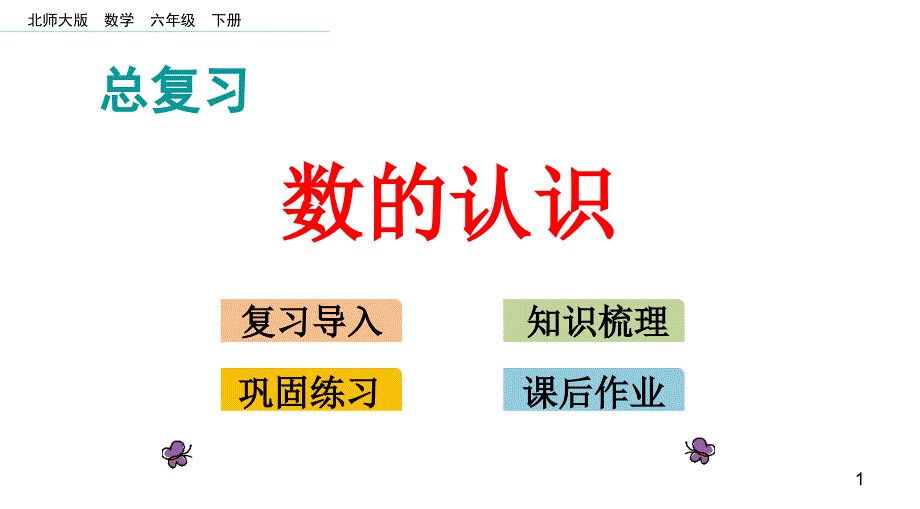 新北师大版小学六年级数学下册总复习数的认识ppt课件_第1页