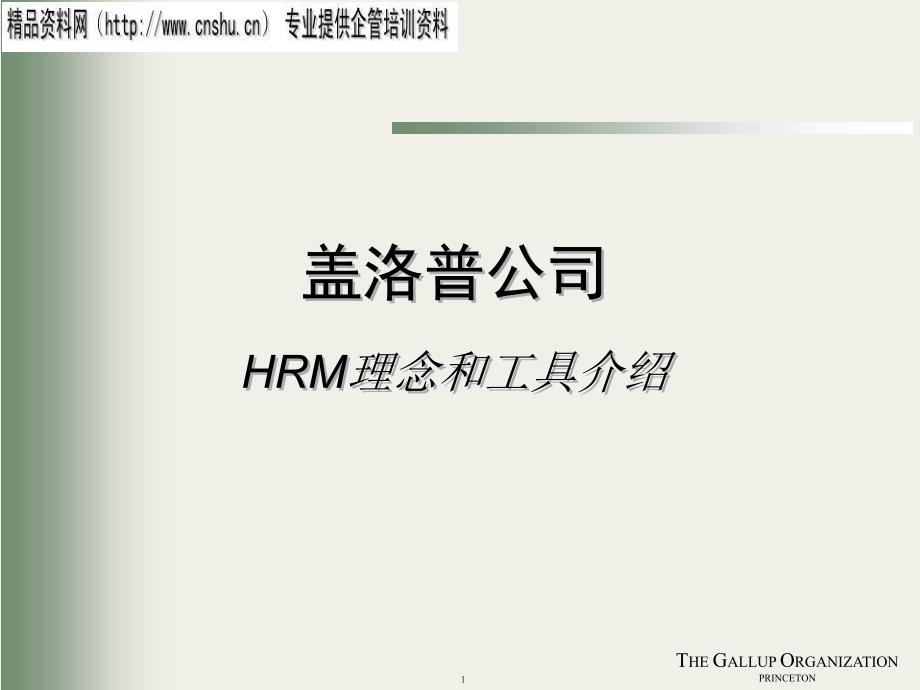 盖洛普公司HRM理念与工具分析报告_第1页