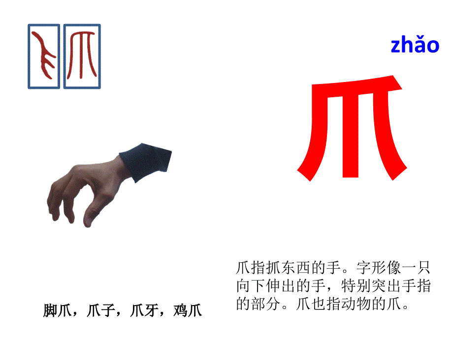 与“爪”有关的汉字分析课件_第1页