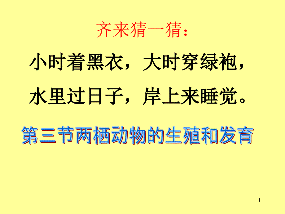 人教版两栖动物生殖和发育课件_第1页