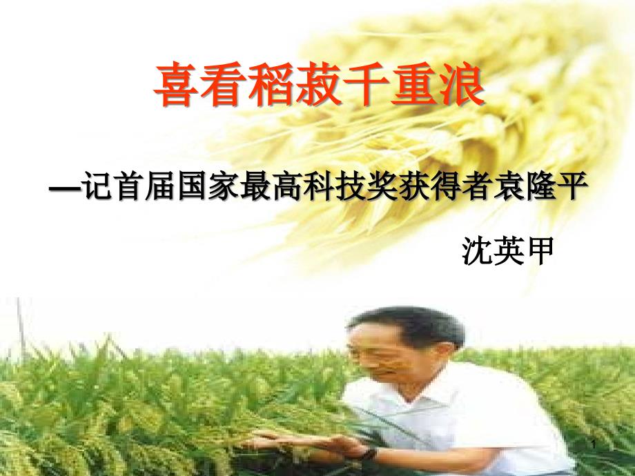 喜看稻菽千重浪(优秀公开课)课件_第1页