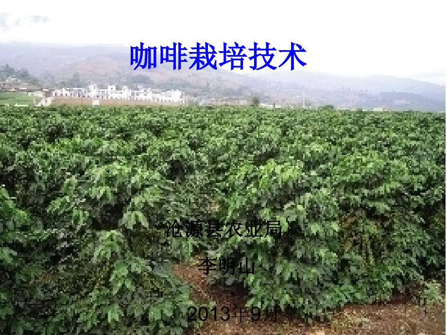 咖啡栽培技术资料课件_第1页