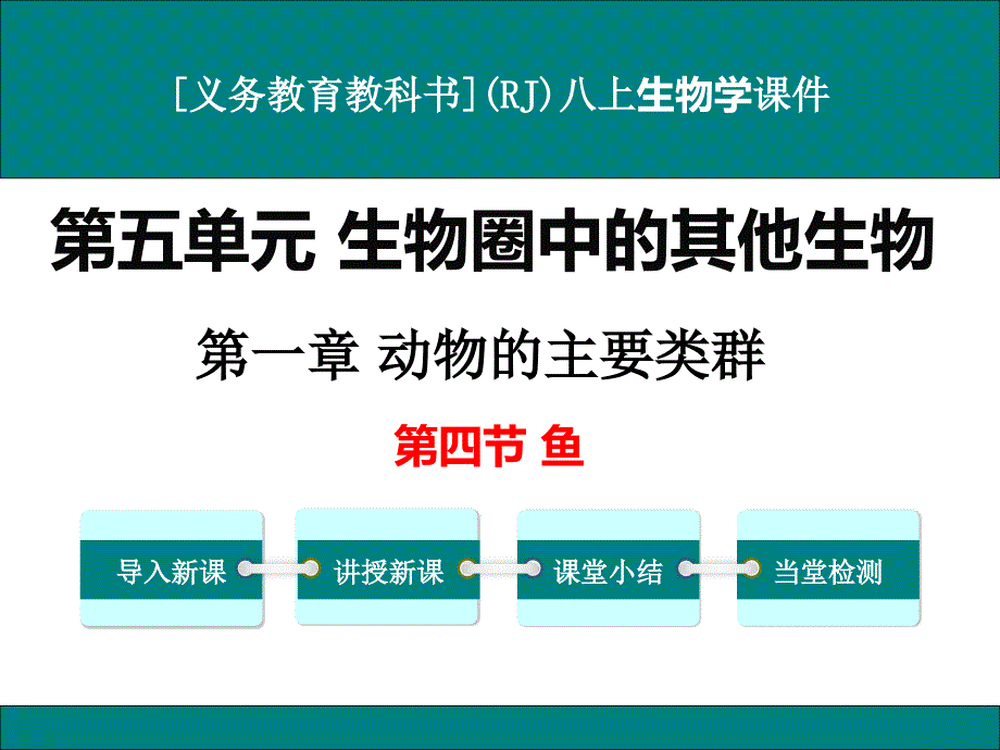 人教版八年级上册生物学《鱼》ppt课件_第1页