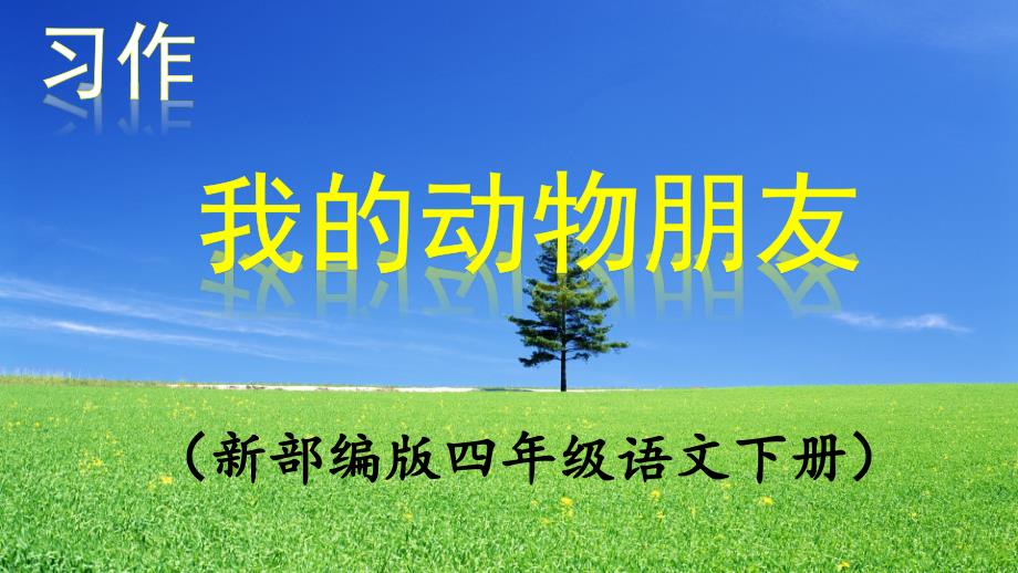 《我的动物朋友》课件_第1页