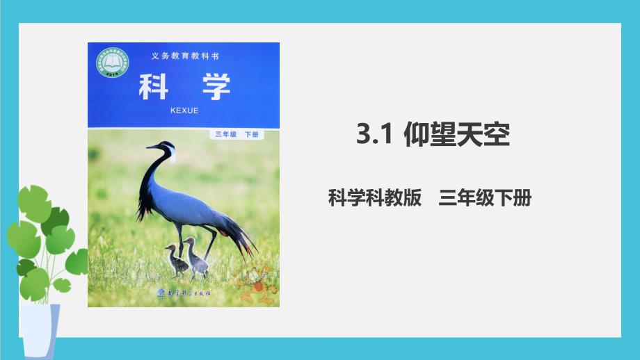 2021教科版三年级下册科学3.1-仰望天空(ppt课件)_第1页