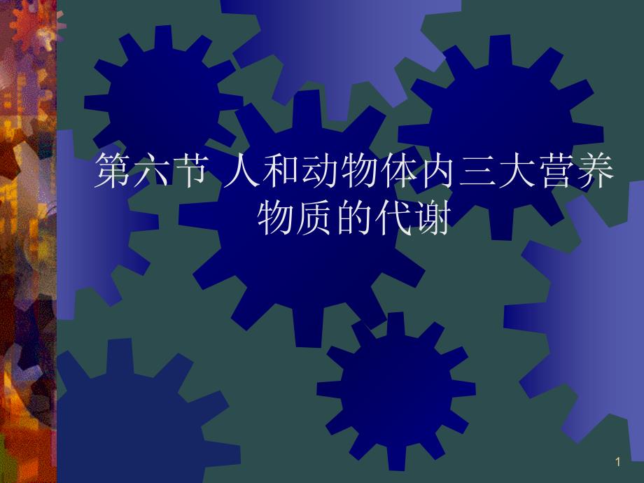 人和动物体内三大营养物质的代谢人教版课件_第1页